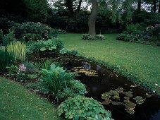 Pond with Nymphaea (water lilies), Iris pseudacorus 'Variegata' (marsh iris), on the bank Epimedium (fairy flowers), Hosta (funcias), Primula (primroses), in the back Rhododendron (alpine roses)