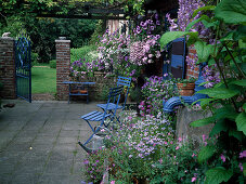 Terrace with tone-in-tone planting and blue chairs, buxus (boxwood), petunia (petunia), verbena (verbena), viola (pansy), clematis (woodland vine), open garden gate