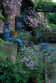 Blau-violett bepflanzte Terrasse mit Schwengelpumpe, Clematis (Waldrebe) an der Hauswand, Petunia (Petunien)