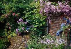 Small seating area with clematis (woodland vine) against the house wall, pots with petunia (petunia) and perennials, swan pump, table and chair, rose and alchemilla (lady's mantle) in the bed