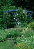 Pavillon bewachsen mit Rosa 'Guirlande d'amour' (Ramblerrose), öfterblühend mit gutem Duft, Alchemilla mollis (Frauenmantel), Geranium (Storchschnabel), Astilbe (Prachtspiere)