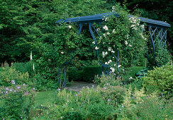 Beds with Geranium (Cranesbill), Astilbe (Pale Piere), pavilion overgrown with Rosa 'Guirlande d'amour' (Ramblers Rose), frequent flowering with good fragrance, Hosta (Hosta flowers)