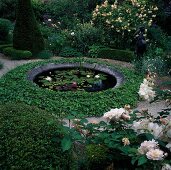 Rosa 'Buff Beauty' (shrub rose), Phlomis (fireweed), Hedera helix (ivy) bordering water basin with Nymphaea (water lilies)