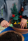 Plant the tray with summer flowers. Fill in more soil in the gaps (6/7)