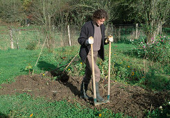 Harvesting a bed with annuals 3rd step: Loosening up the empty bed with a special fork (3/3)