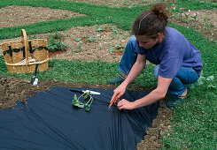 Plant Cucumis (melon) in black foil (evaporation protection, weed reduction), cut slit in foil with sharp knife (3/6)