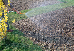 Bodenvorbereitung für Aussaat oder Pflanzen 4. Step: Bewässern für gründliche Durchmischung (4/4)