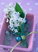 Syringa (white lilac flower)