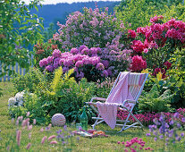 Rhododendron, Syringa (Zwergflieder)