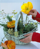 Basket with poppy seeds