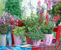 Herb pots with napkin technique