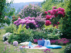 Picknickplatz: Rhododendron