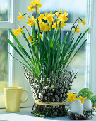 Narcissus 'Tete á Tete', pot covered with willow catkin rods