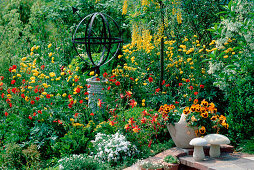 Trollius europaeus 'Lemon Yellow', Aquilegia, Laburnum, Geum