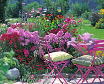 Phlox (Flammenblume), Santolina (Heiligenkraut)