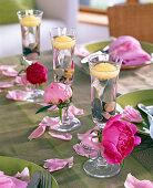 Paeonia (peony), petals on the table