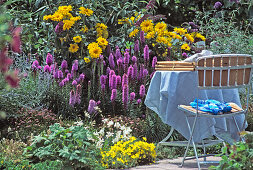 Garden view with Liatris (Pompon's spirea)