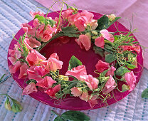 Pink vetch wreath (2/2)