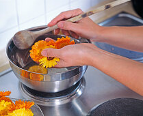 Making marigold ointment (2/6)