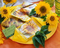 Sunflower seeds in homemade bags: 5/5
