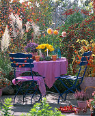 Blue garnish, pink tablecloth, aster, chrysanthemum, calluna