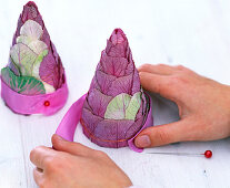 Ornamental cabbage cone (2/3)