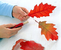 Oak leaf window decoration (1/2), oak leaf lantern window decoration (1/3)