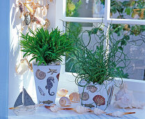 Design planters and boxes with maritime napkin deco