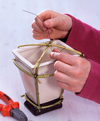 Cornus scaffolding around a square vase (2/3)