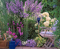 Blue border: Campanula carpatica, Camp pyramidalis