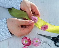 Schleifenband mit Bellis-Blüten besteckt (1/2)