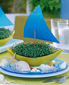 Cress boat decorated with shells (3/3)