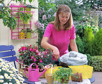 Gelben Kasten mit Fuchsien bepflanzen: 1/5