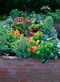 Raised bed with vegetables and flowers