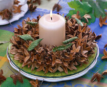Wreath made of beechnut shells: 2/2