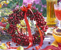 Berry wreath of hawthorn
