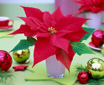 Euphorbia pulcherrima (Poinsettia, red) on a felt coaster in the shape of a star