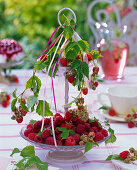 Raspberry Table Decoration