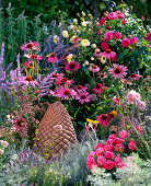 Pink-red bed with herbs and perennials