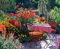 Terrace border with Dahlia (dahlias), Gladiolus (gladioli)