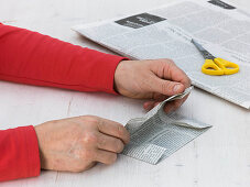 Seed bags made of newsprint