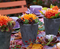 Dahlia (dahlias), Origanum (oregano), Nepeta (catmint), rose hips