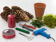 Red candles with spruce cones (1/6)