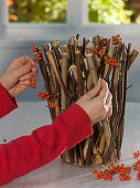 Plug-in aid made from rose branches and rowan berries