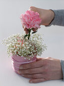 Carnation gypsophila glasses