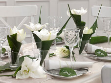 Table decoration with amaryllis and cobbler's palm (6/6)