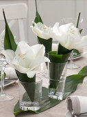 Table decoration with amaryllis and cobbler's palm: 6/6