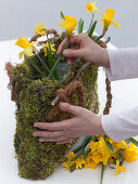 Moss bag with daffodils