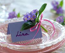 Homemade place card