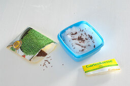 Sowing cress in fresh keeping tins (2/4)